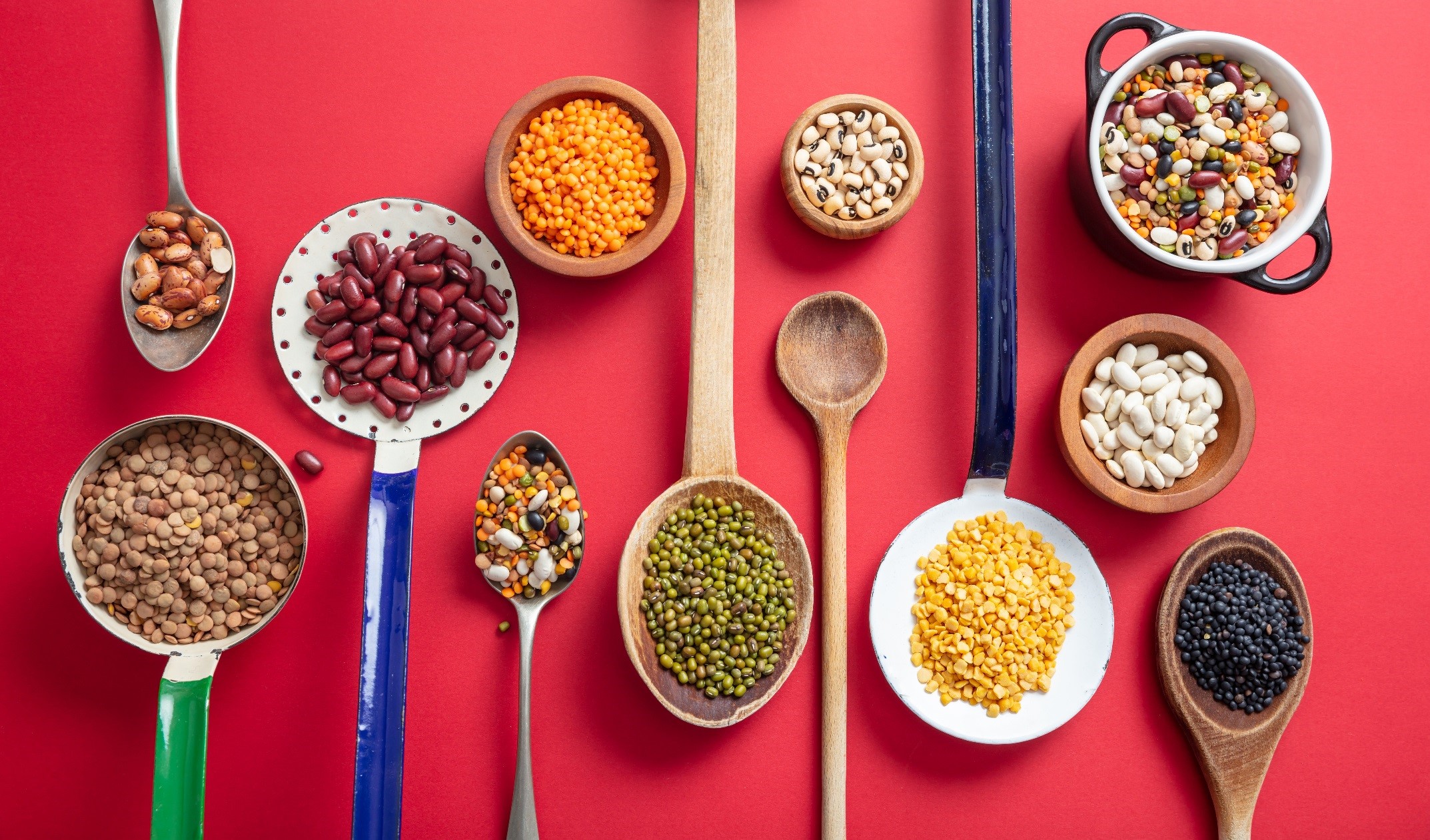 Pulses And Legumes An Important Component Of Vegetarian Diet After